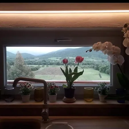 דירה Celeste's House *