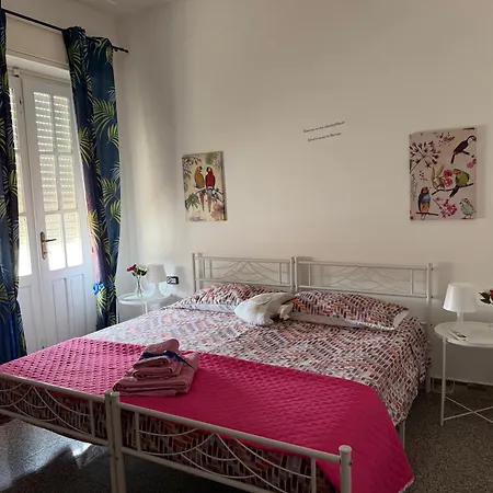 Celeste's House Giba