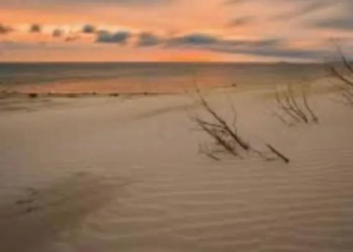 Celeste's House * Giba