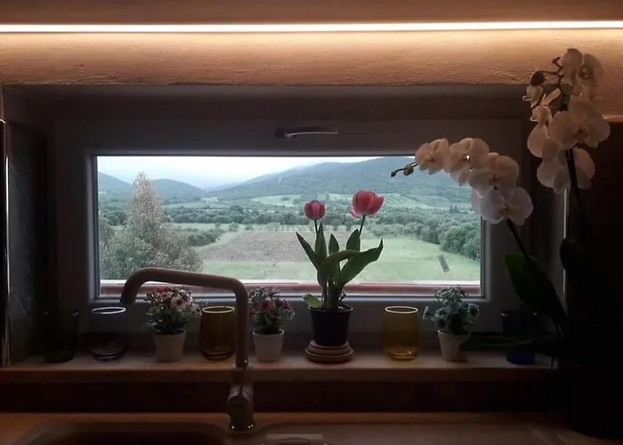 Apartament Celeste's House *